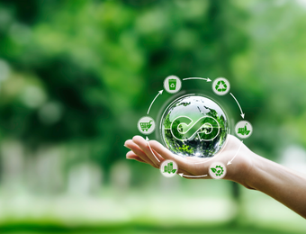 Co-Innovation for Sustainability: Redefining Biotechnology for a Greener World